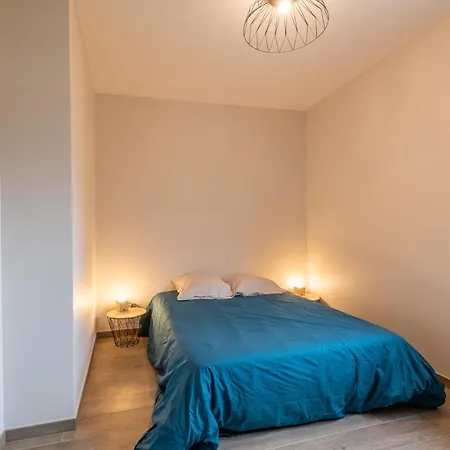 公寓 De Standing 阿尔贝维尔